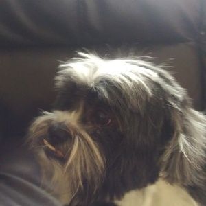 Meet your Posher, Karina